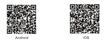 PRED-TOKK-CAM-T6-fig-2