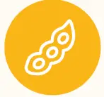 MightyMe-Early-Allergen-fig-10