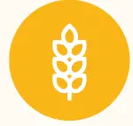 MightyMe-Early-Allergen-fig-11