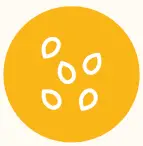 MightyMe-Early-Allergen-fig-14