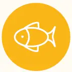 MightyMe-Early-Allergen-fig-15