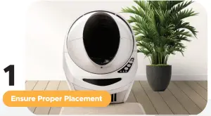 Ensure Proper Placement