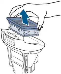 Emptying-Bissell-2551-Dirty-Water-Tank