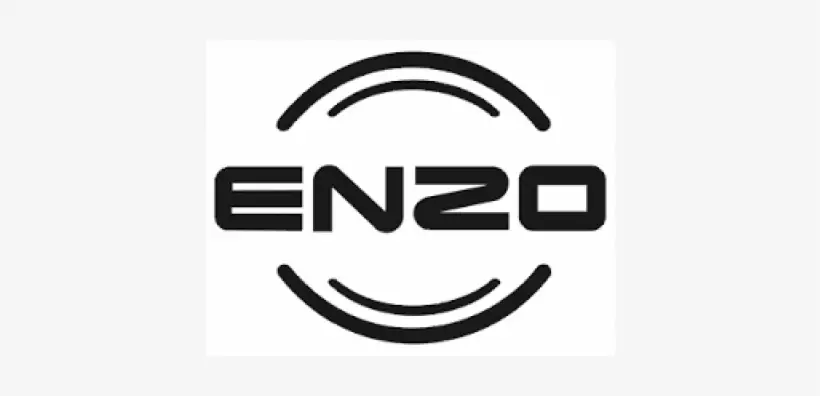 enzo logo