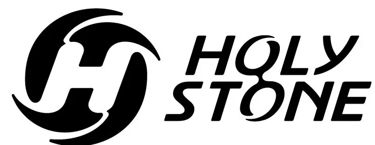 HOLY-STONE-6601-Cartoon-RC-Race-Car-logo