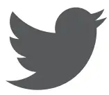 Twitter Icon