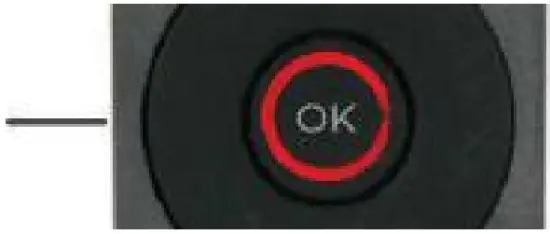 LUXEVA 79419703 Electric Infrared Patio Heater - FIG 21