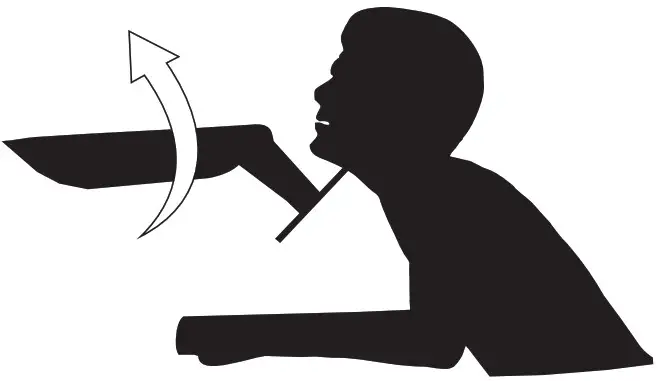 HUANUO Dual Gas Spring Monitor HNDS8 - Warning