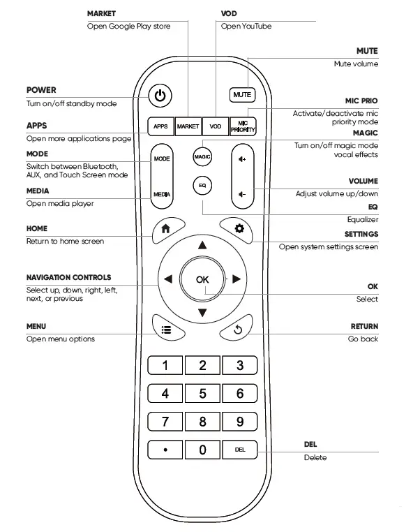 MASINGO Professional Karaoke Machine (2)