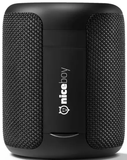 niceboy RAZE 3 GURU Portable Bluetooth Speaker