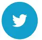 Twitter Icon