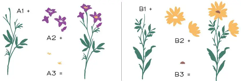 Honey-Bee-STAMPS-Gradient-Stamping-with-Bold-Botanicals-FIG-1