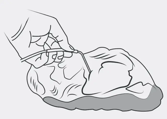 FLAME BOSS B08KWMPQXT WiFi Thermometer User Manual - PROBE PLACEMENT — FOOD PROBE