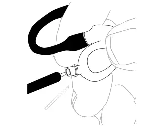 Cleaning the Earphone