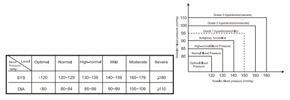 easy home EBP-085 Wrist Blood Pressure Monitor (29)