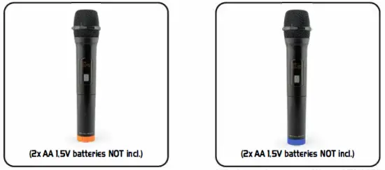 CALIBER HPA 605BT Bluetooth Speaker Fig1