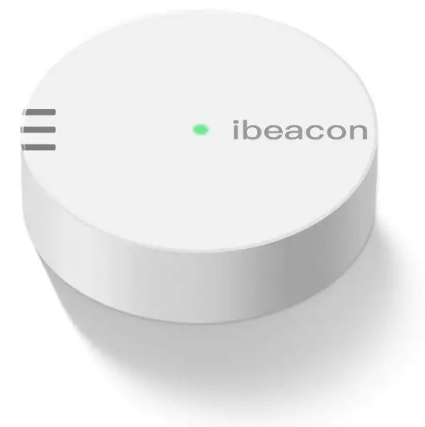 DS Beacon 06 Base Station Beacon