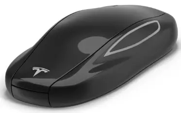 TESLA-1614291-B-Pillar-Endpoint