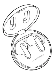 Earbuds UV Charging Case