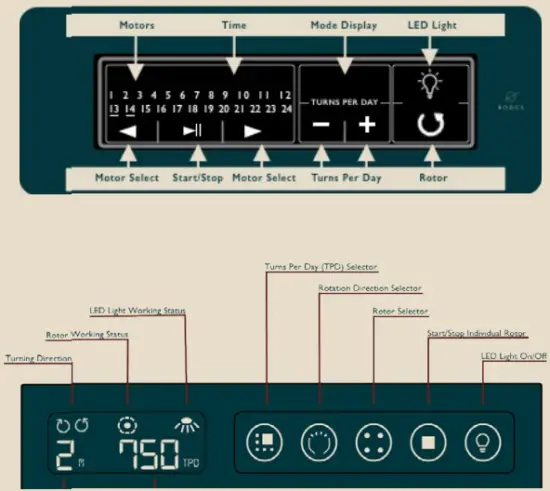 LCD controlled watch winders