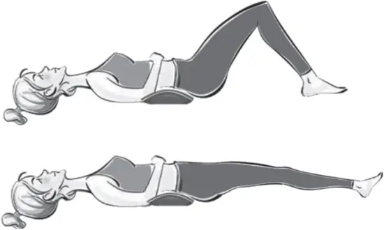 ELEEELS R2 Lumbar Traction Device F