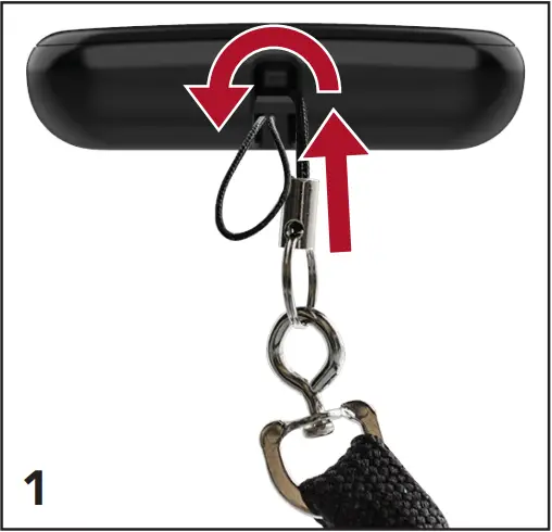 Starkey Remote - Lanyard 1