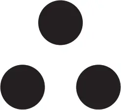 TESY 295 2000 Electric Water Heater - ICON 6