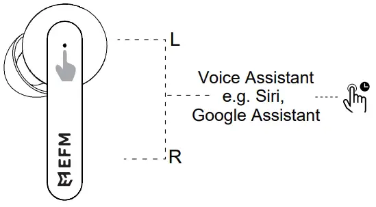 Voice Assistant