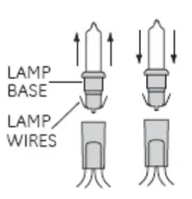 FIG 3 Replace Steady Bulb.JPG