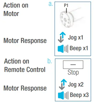 AMP25B Motors - Fig 5