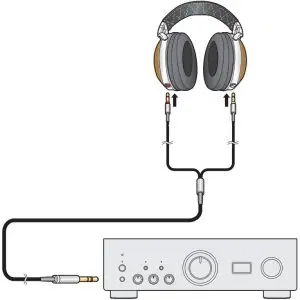 Connecting Induction