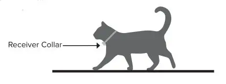 DogWatch CAT200 Cat Indoor Boundary - Receiver Collar