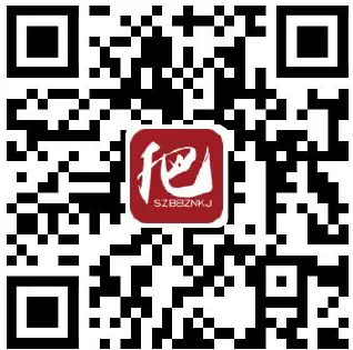 BBJT S001 Smart Watch 11