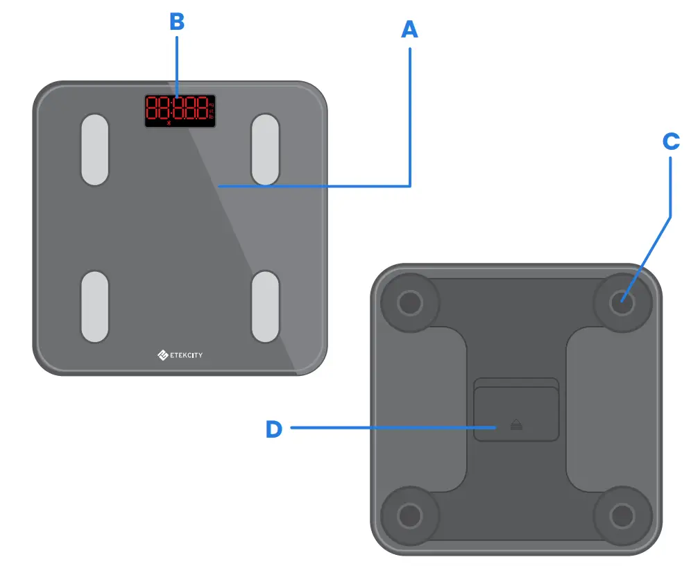 Etekcity Smart Fitness Scale - Diagram