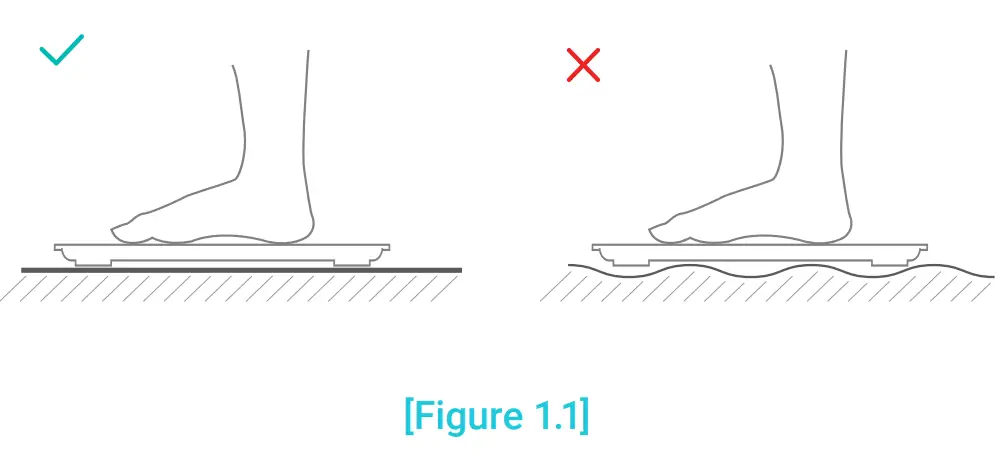 Etekcity Smart Fitness Scale - Figure 1