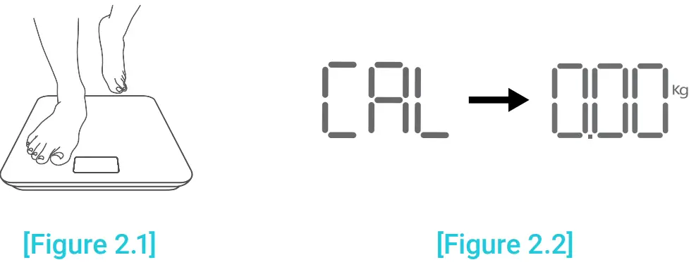 Etekcity Smart Fitness Scale - Figure 2.1