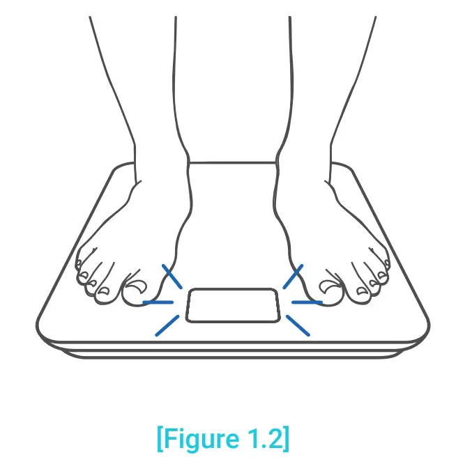 Etekcity Smart Fitness Scale - fig 1.2