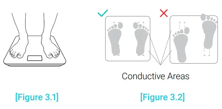 Etekcity Smart Fitness Scale - fig 3