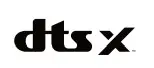 dtsx Logo