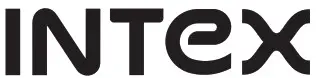 INTeX logo