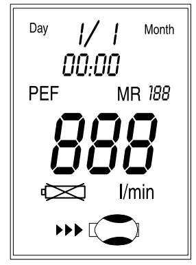 Microlife PF 100 Electronic Asthma Monitor - Setting Date and Time