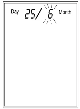 Microlife PF 100 Electronic Asthma Monitor - time switch