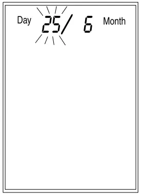 Microlife PF 100 Electronic Asthma Monitor - time switch1