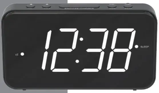 SVEN SRP-100 Portable Radio fig 1