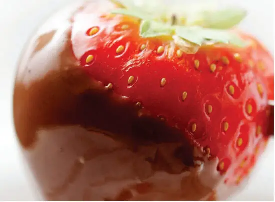 Starfrit 092522004NEW1 3 in 1 Fondue Burner Set - Beverages