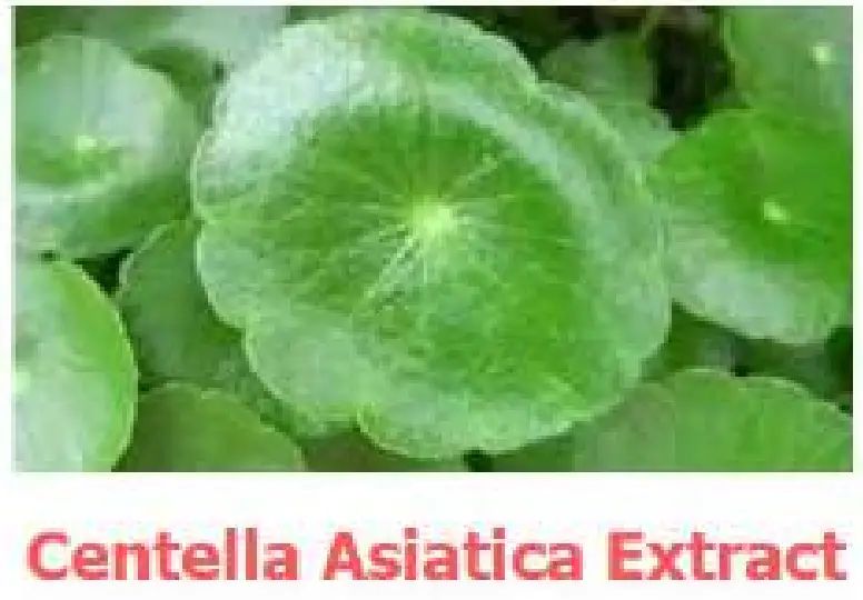 REGENSIFY DHT Blocking Shampoo fig 13