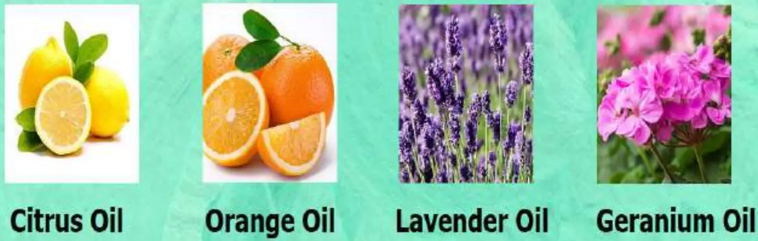 REGENSIFY DHT Blocking Shampoo fig 14