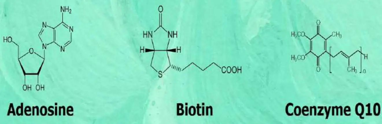 REGENSIFY DHT Blocking Shampoo fig 15