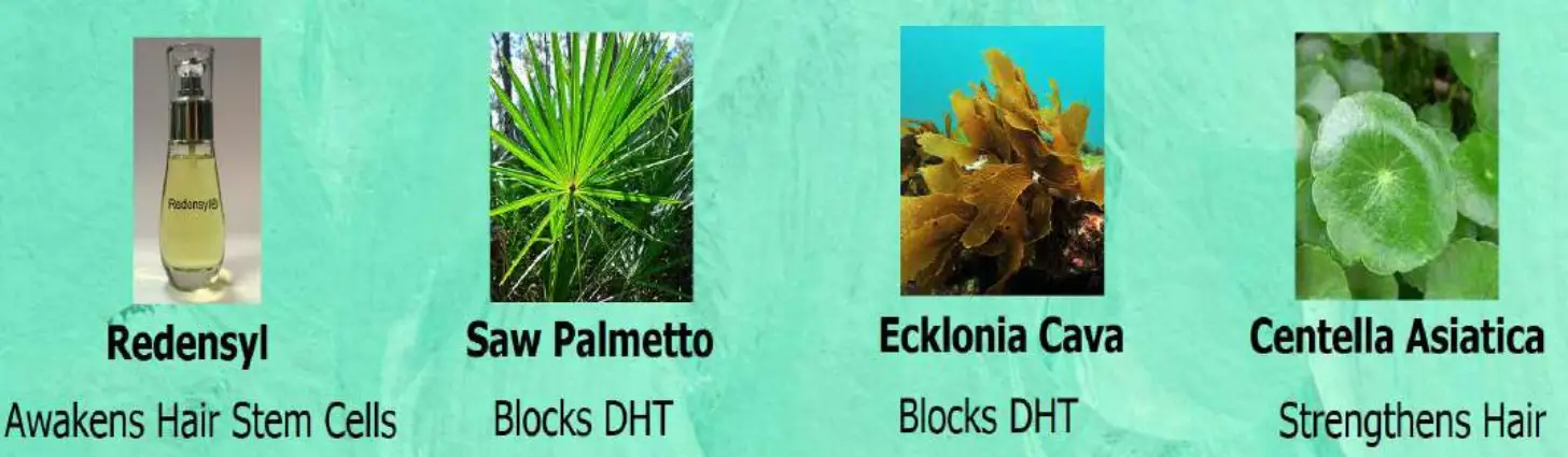 REGENSIFY DHT Blocking Shampoo fig 18