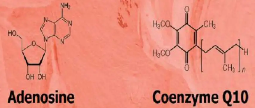 REGENSIFY DHT Blocking Shampoo fig 22
